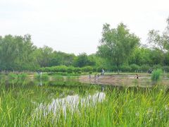 -永定河休闲森林公园