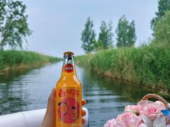 -白洋淀景区