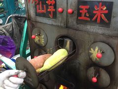 -巢湖姥山岛
