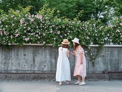 -丹东路渡口(轮渡站)