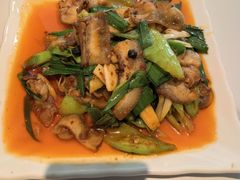 -金熊猫川菜餐厅