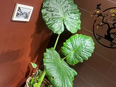 -福照楼汽锅鸡·云南菜(万达广场店)