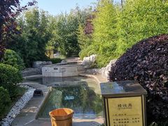 -大连金石滩绿发温泉假日酒店