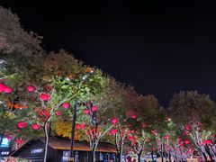 -大唐不夜城