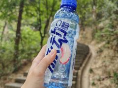-火炉山森林公园
