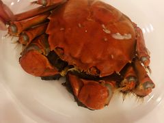 -王宝和酒家(黄浦店)