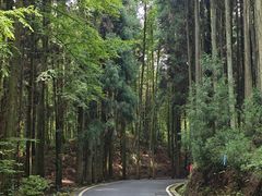 -山王坪喀斯特国家生态公园