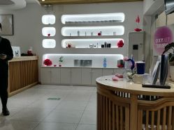 点击看大图 -薇薇安花系SPA