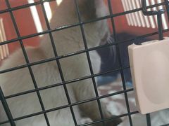 -拜鲁耶动物诊疗中心·宠家动物医院