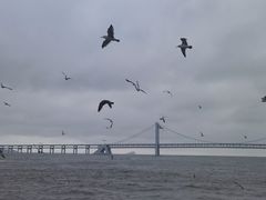 -星海广场