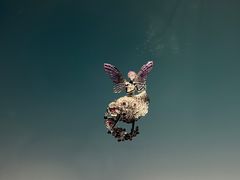 -上海当代艺术博物馆