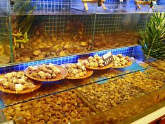 -必点海鲜·鲅鱼水饺(鞍山西道店)