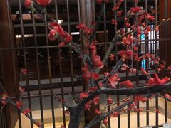 -杭州第一世界大酒店·云曼温泉