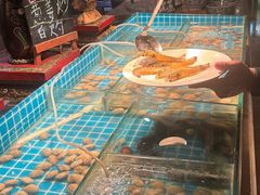 -西双版纳洲际度假酒店-海鲜傣味烧烤·侬香全日制餐厅