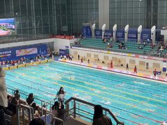 -奥体中心游泳馆