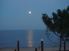 DSC02421-渔岛海洋度假区