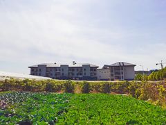 -大连北马山庄
