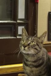 -汉刺青TATTOO STUDIO