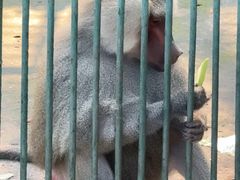 -秦皇岛野生动物园
