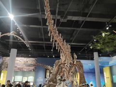 -国家自然博物馆