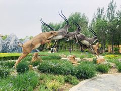 -武清南湖绿博园