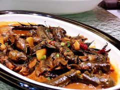 醋烧跳跳鱼-宁海食府(大剧院店)