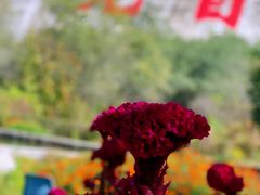-观音阁水库风景区
