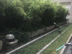 -苏州金鸡湖文博诺富特酒店