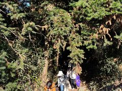 -东钱湖旅游度假区