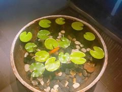 -曲水兰亭(北京四惠店)