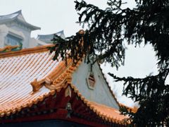 -哈尔滨极乐寺