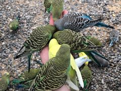 -蓝地时尚庄园(北京清河营地铁站店)