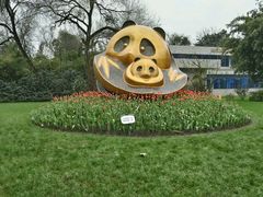 -成都大熊猫繁育研究基地