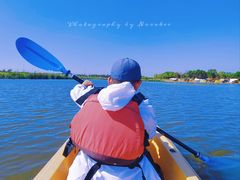 -春花秋色城市公园