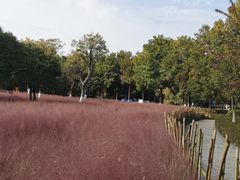 -云龙湖旅游景区