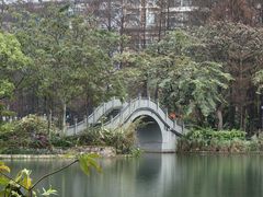 -四海公园(南山区)