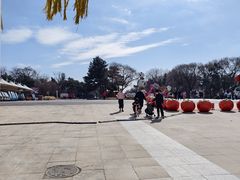 -沈阳植物园