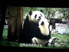 -百丽宫影城(ifc商场店)