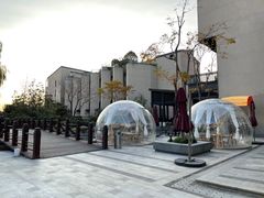 -上海崇明金茂凯悦酒店