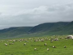 -祁连山草原