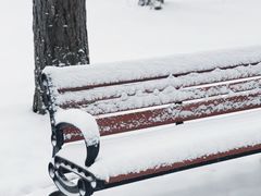 -长春市南湖公园