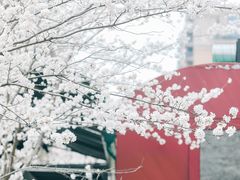 -新天地活力PARK