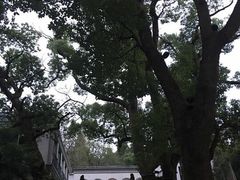-杭州西湖风景名胜区-北街寻梦