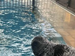 -成都浩海立方海洋公园