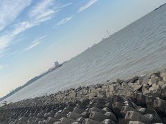 -上海滨江森林公园