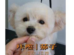 -北京恒爱动物医院(清景园分院)