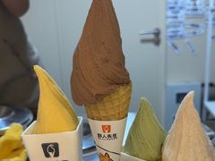 -野人先生现做冰淇淋(北京环宇荟店)