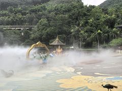 -西双版纳原始森林公园