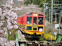 -岚山嵯峨野观光小火车
