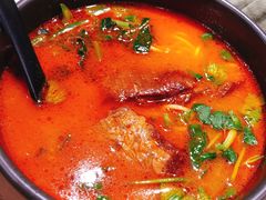 香草番茄汤.猪软骨面-和府捞面(东直门银座店)